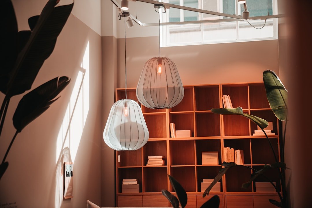 a room with a book shelf and a plant in it