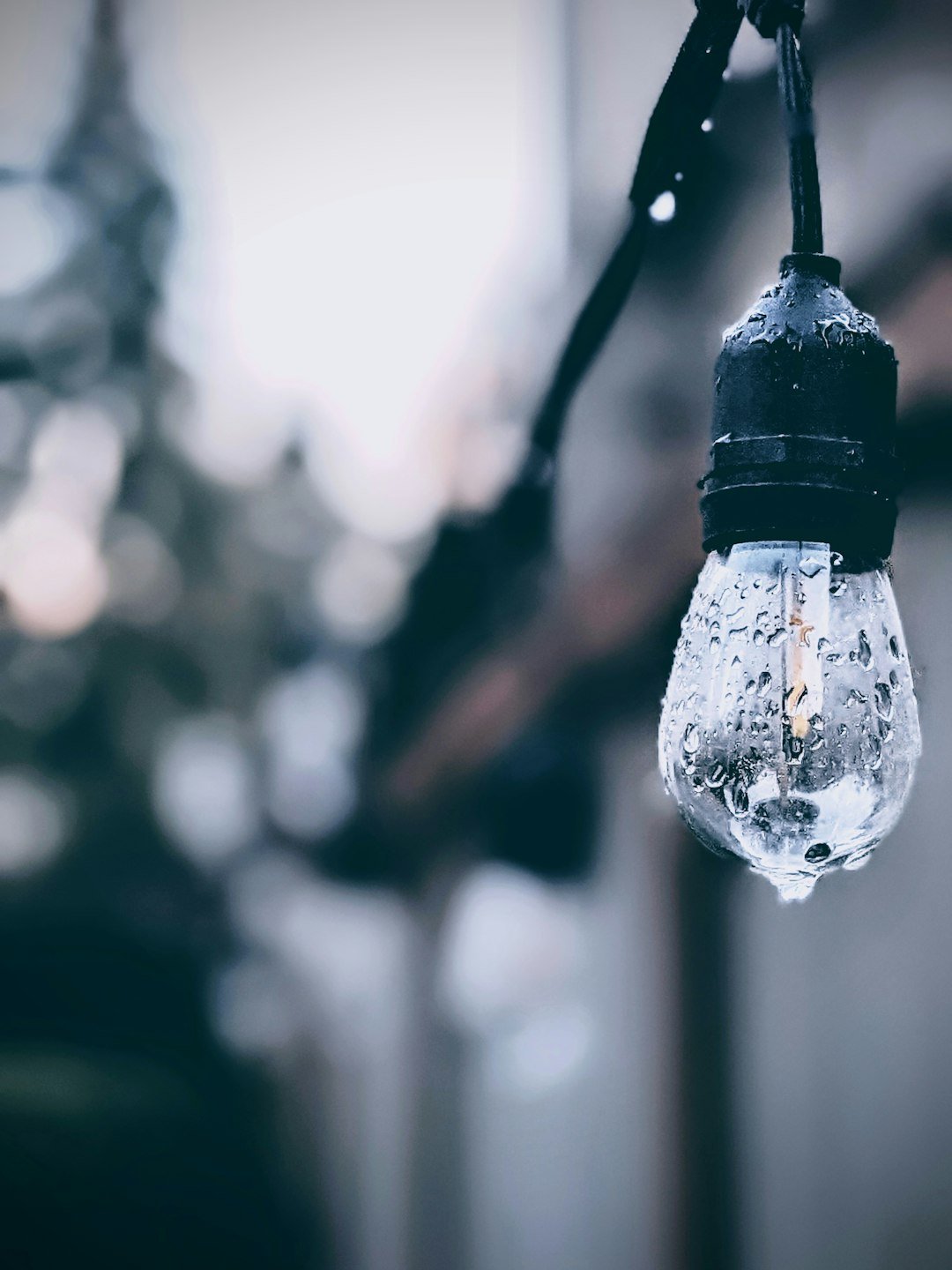 a close up of a light bulb with water on it