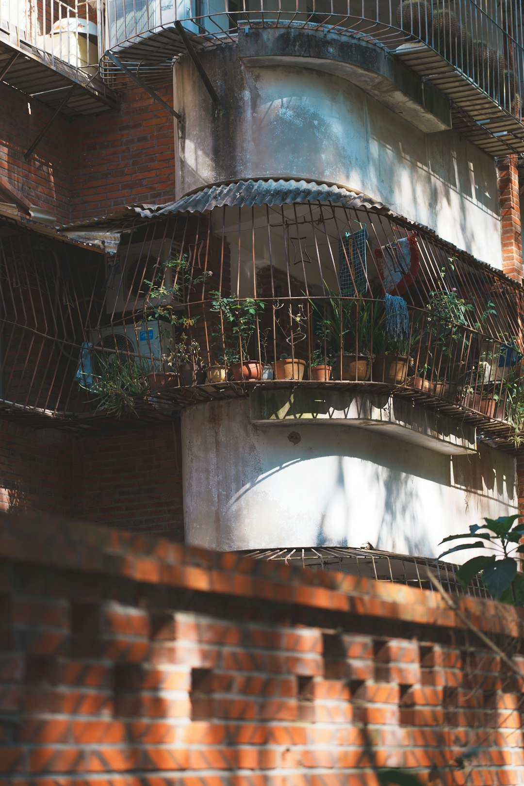 A building with a bunch of plants growing out of it
