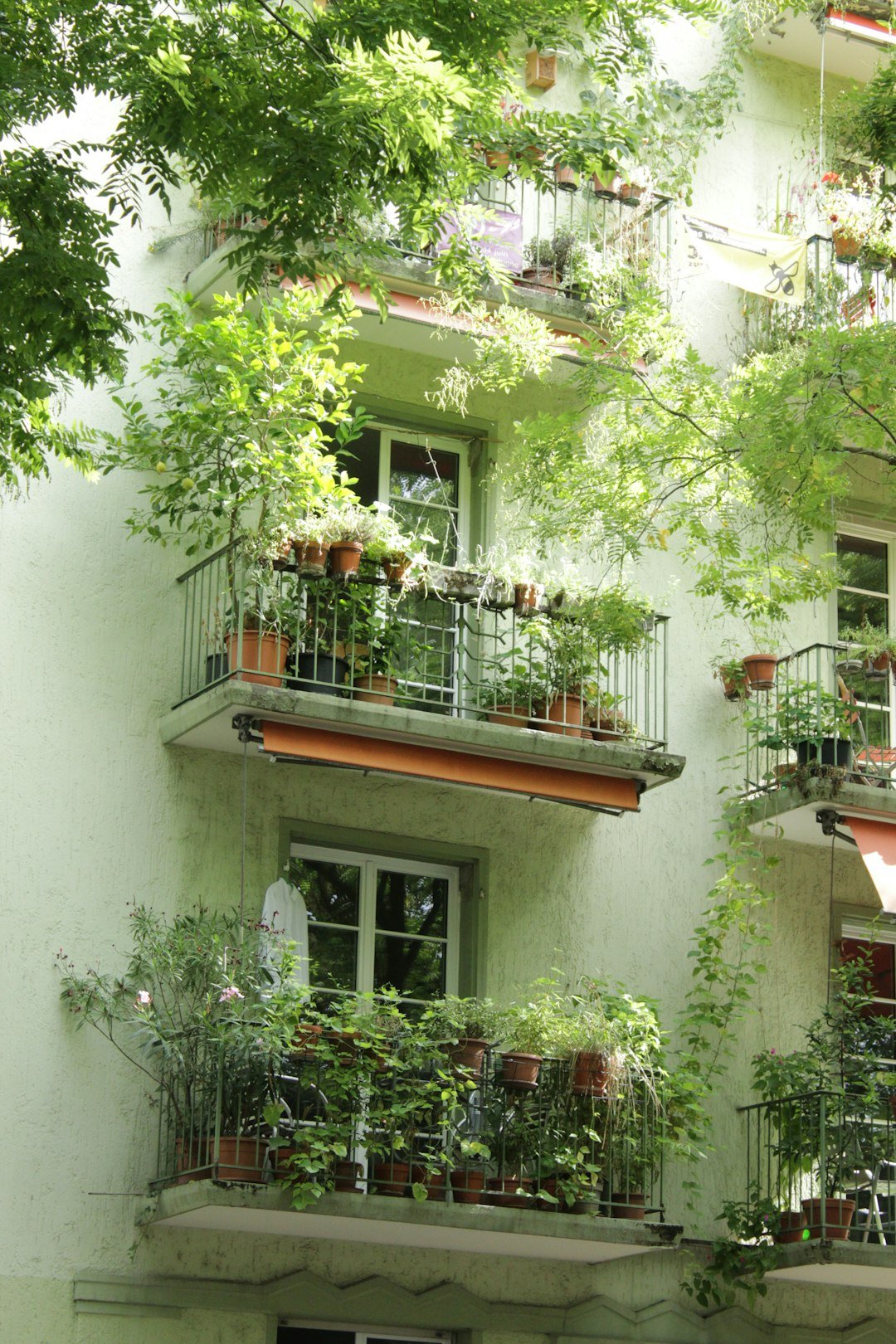 Balconies of a building overflow with potted plants.