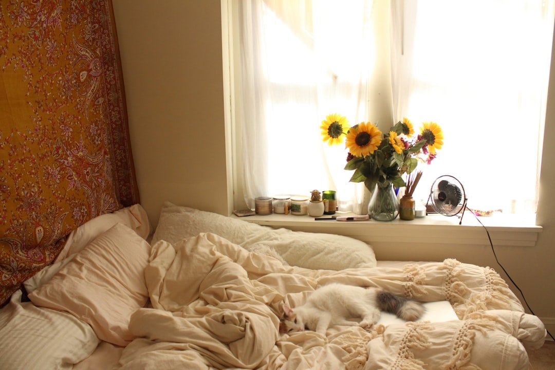 a cat lays on a bed