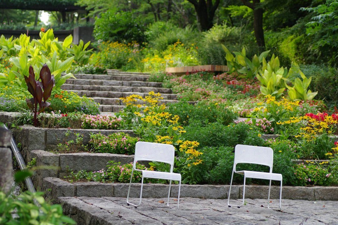 Two white chairs sitting on top of a stone walkway