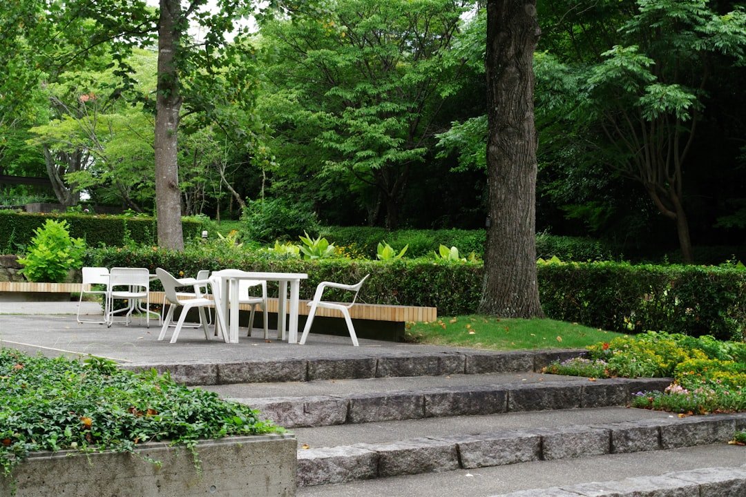 A table and chairs sitting on concrete steps in a park