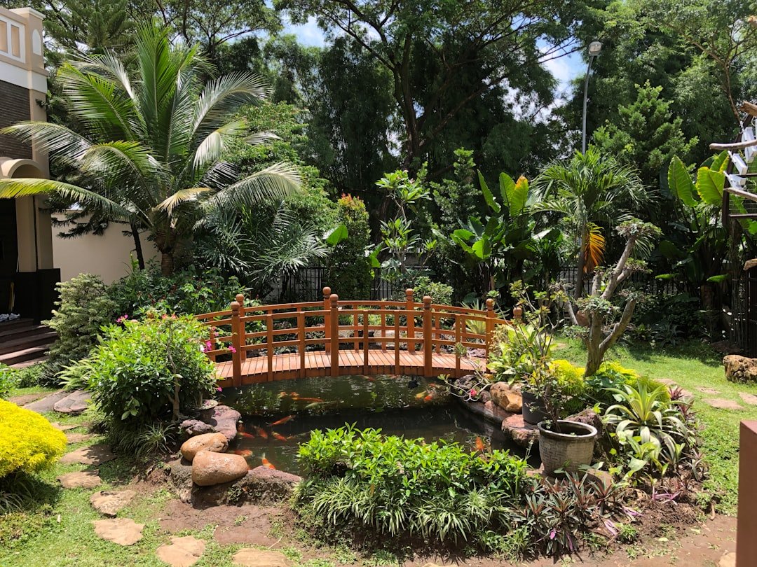a wooden bridge over a small pond in a garden