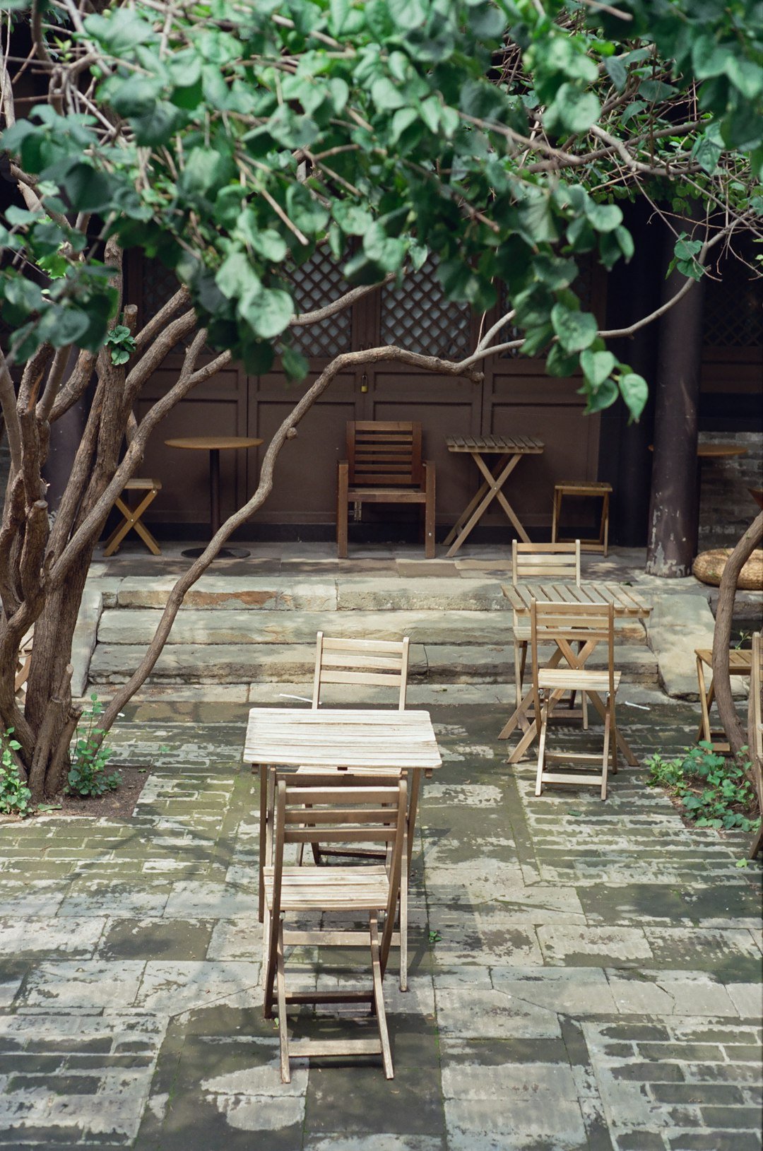 A patio with a table and chairs under a tree