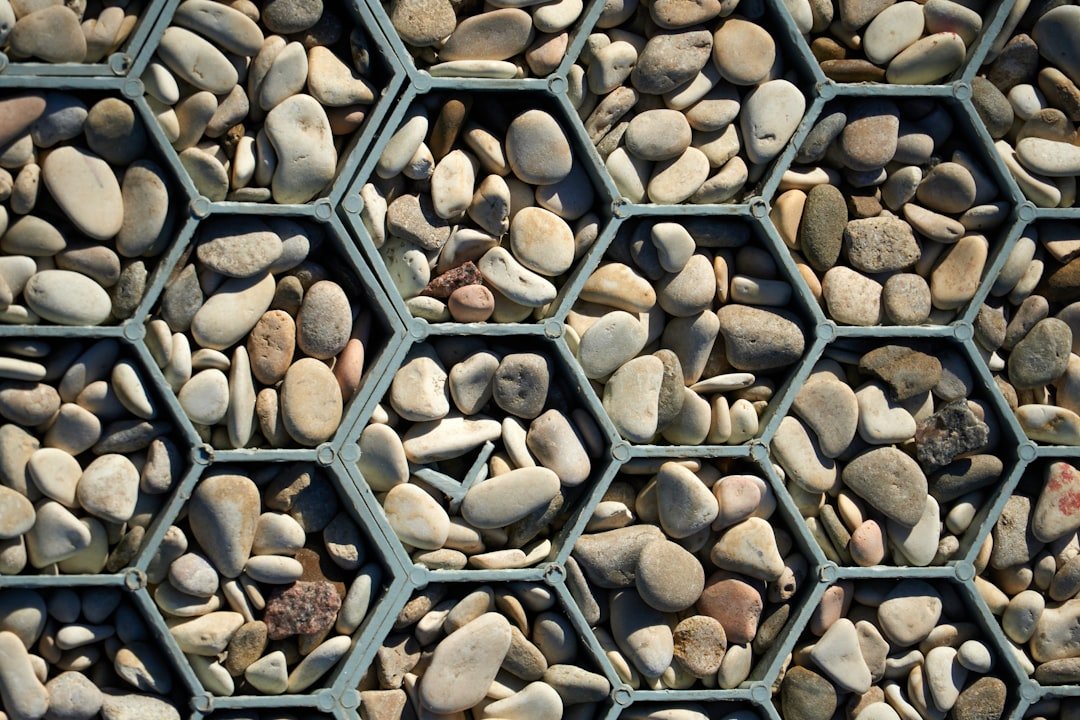 a group of rocks