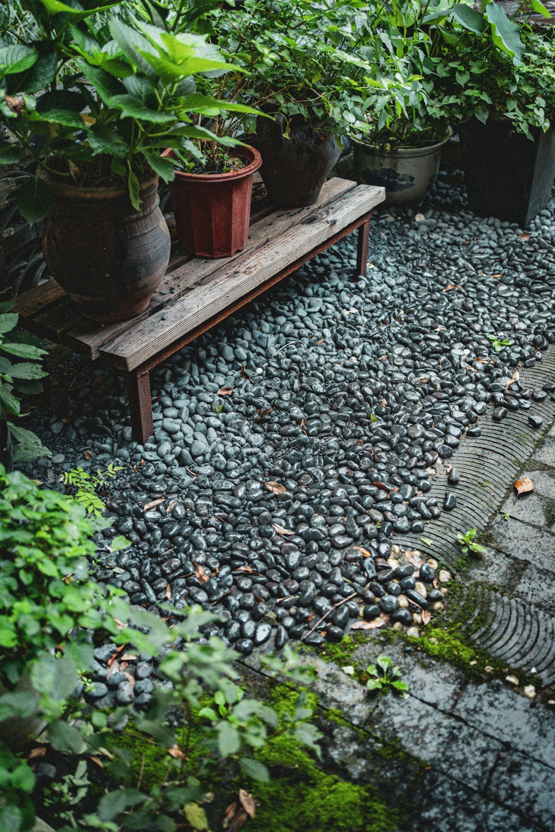 a wooden bench surrounded by potted plants