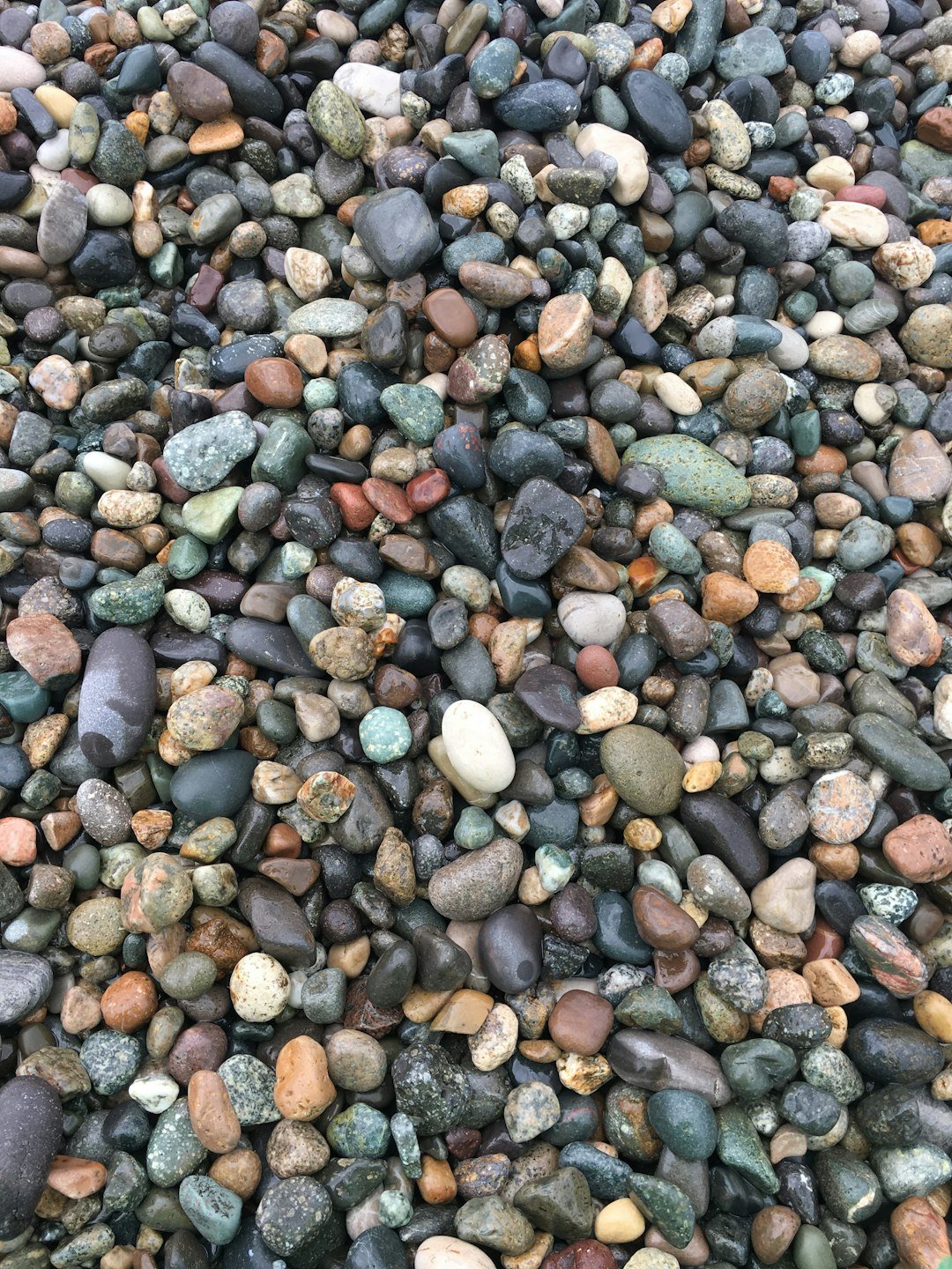 a bunch of rocks that are laying on the ground