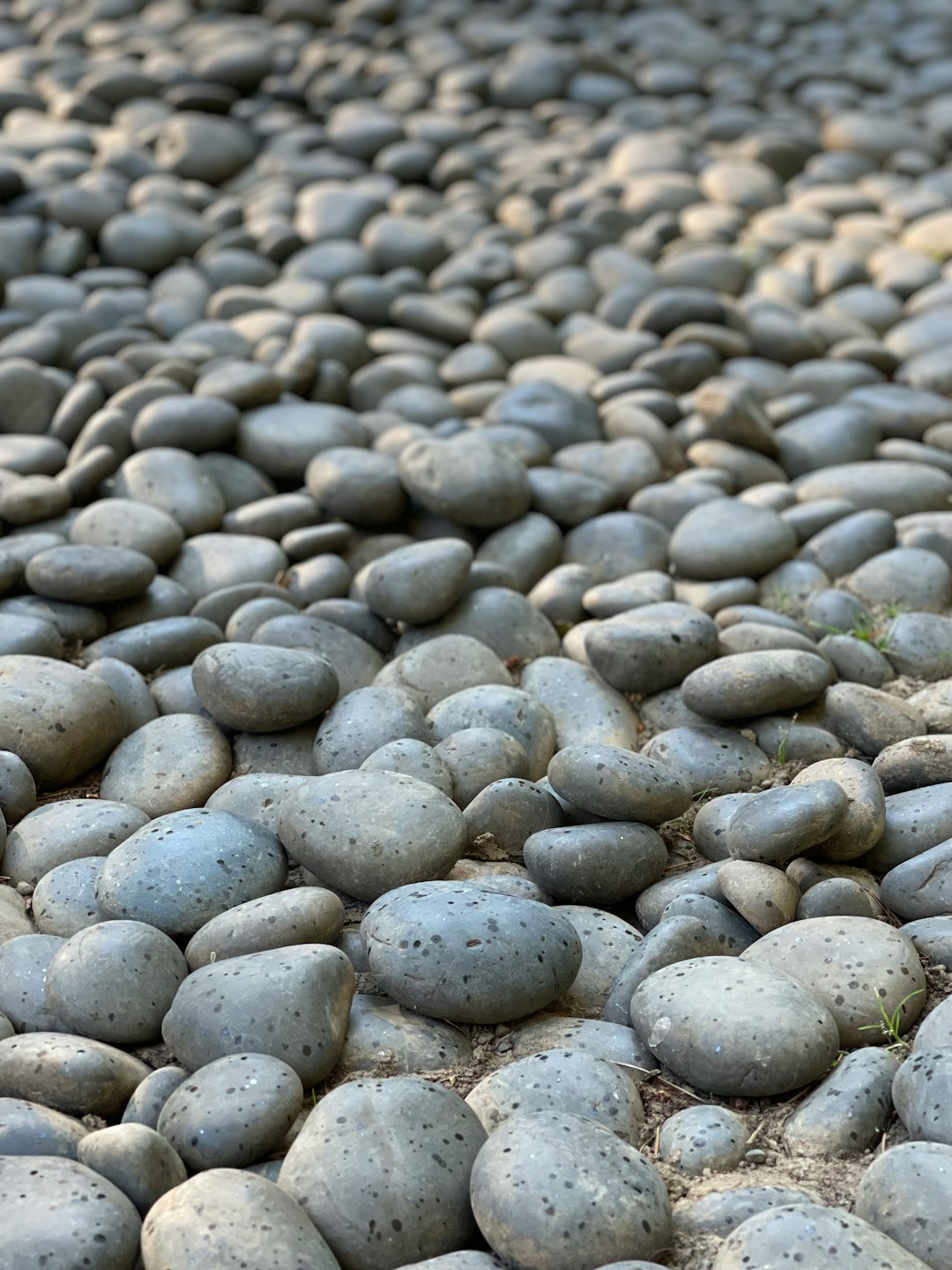 a bunch of rocks that are laying on the ground