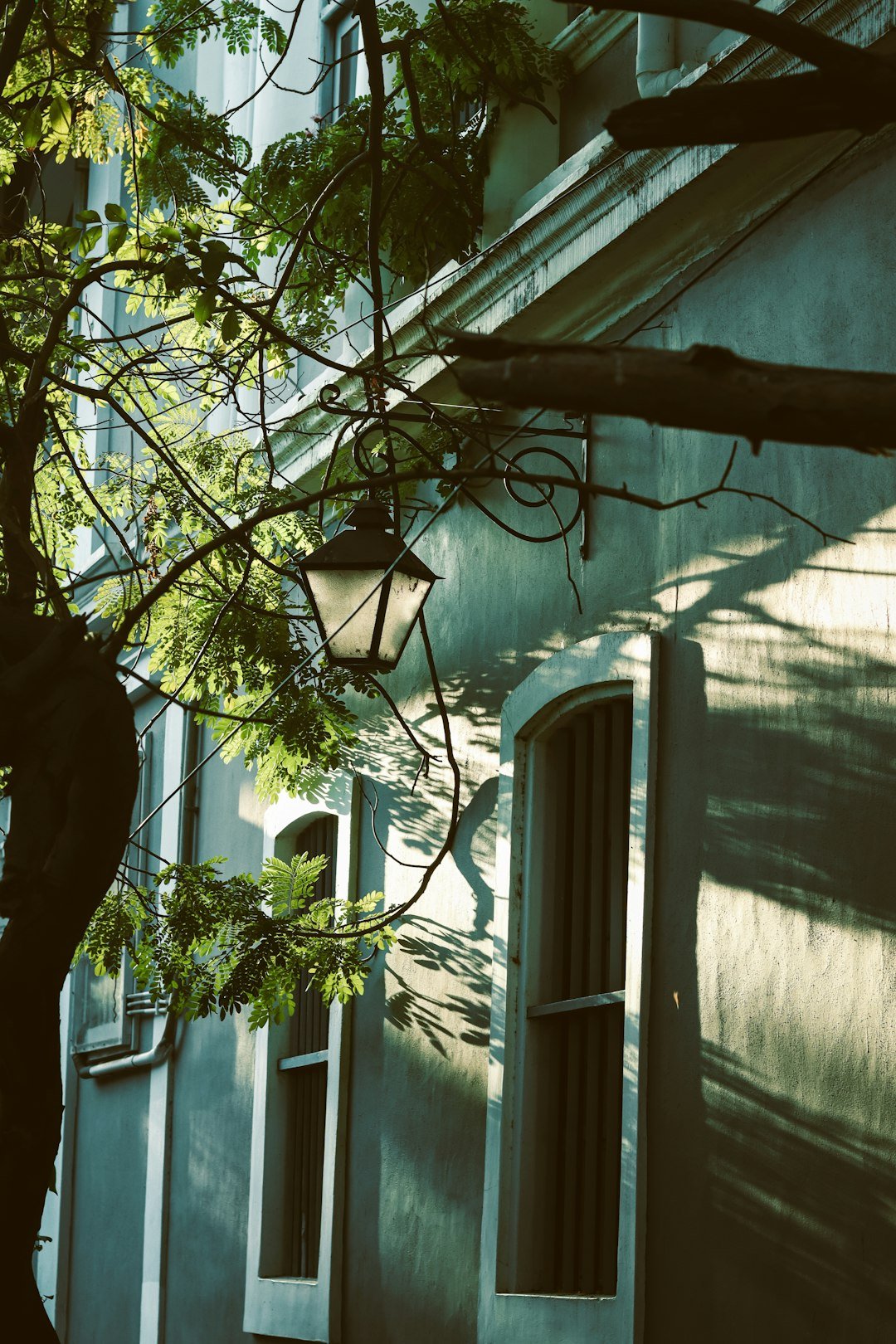 a lamp hanging from the side of a building next to a tree