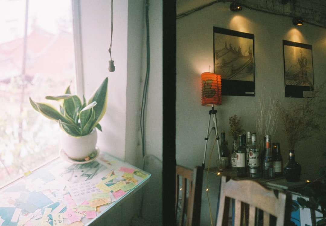 green potted plant on table