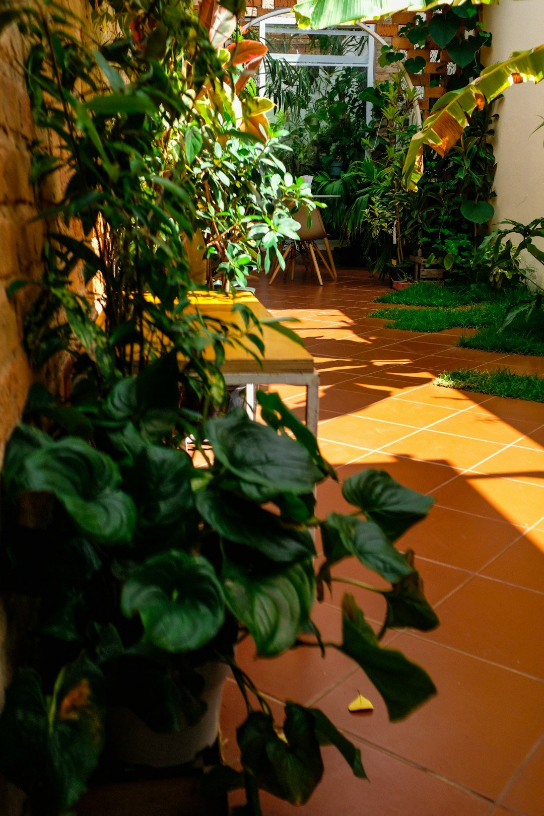 a plant in a pot
