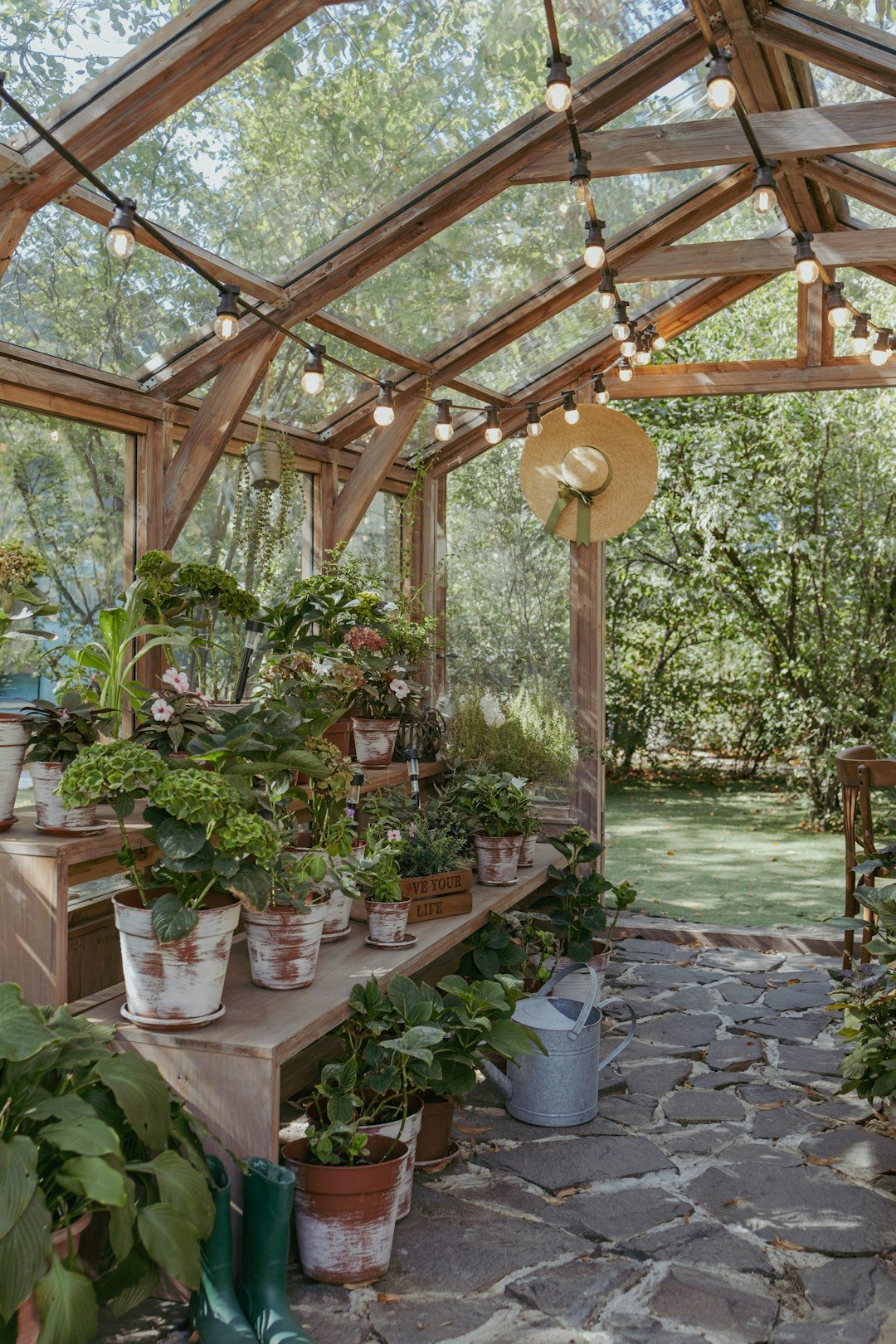 A greenhouse filled with lots of potted plants
