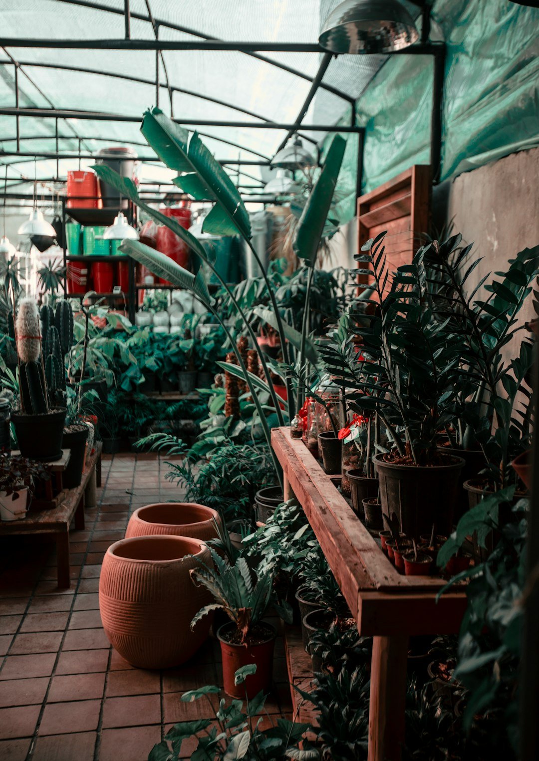 a room filled with lots of potted plants