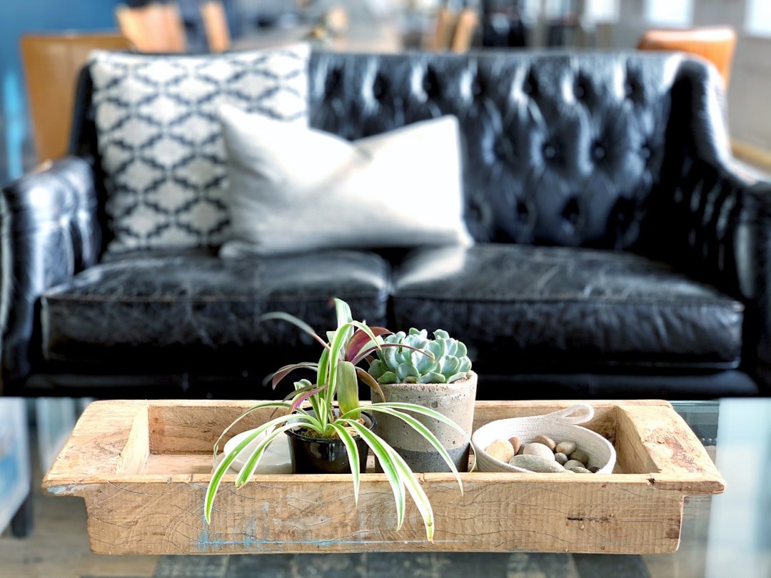 green plant on brown wooden table