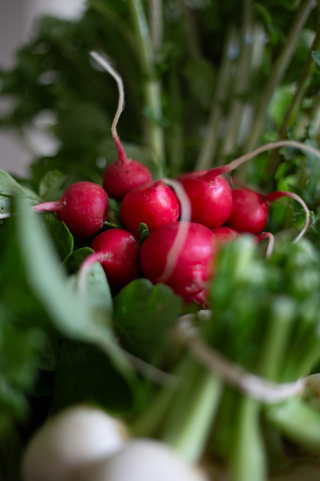 a bunch of radishes sitting on top of green leaves