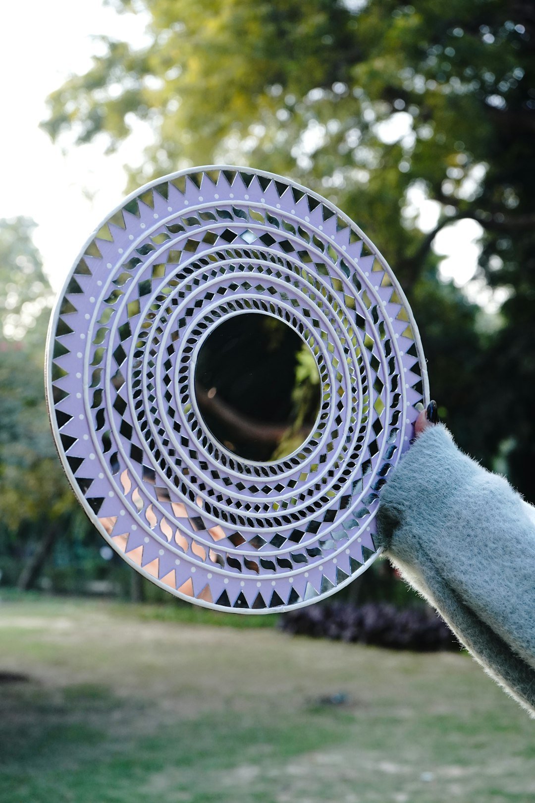 A person holding a frisbee in their hand