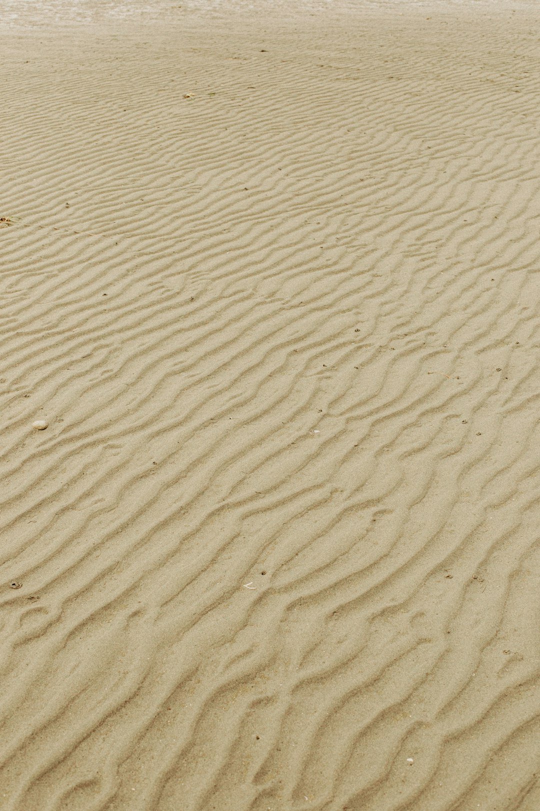 white sand with brown sand