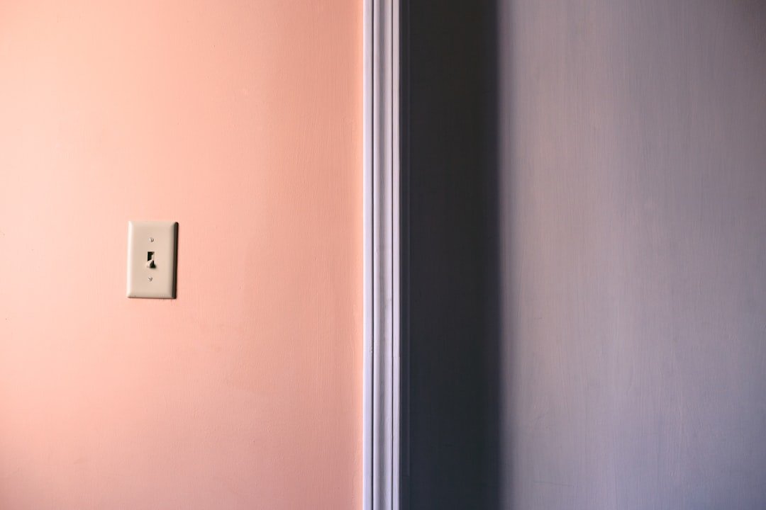 white light switch on brown wall