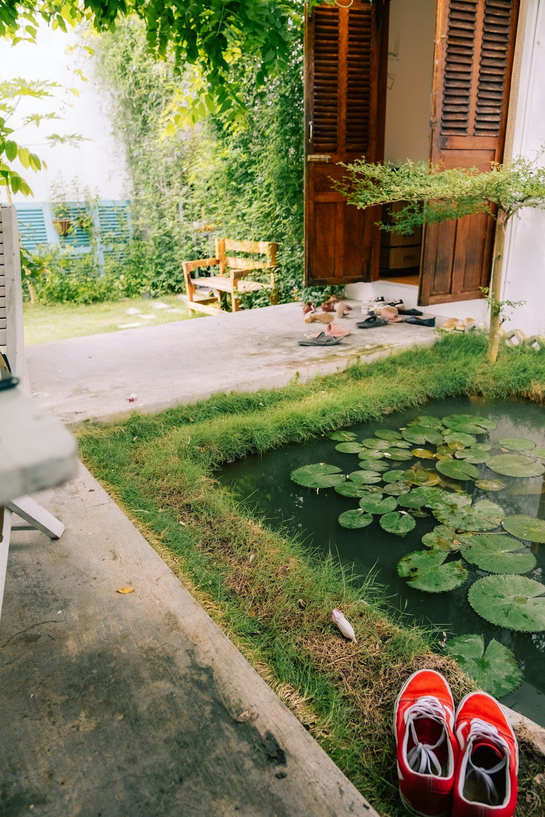 a pair of red shoes sitting on the grass next to a pond