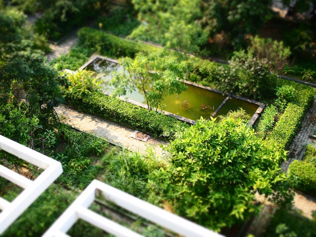 an aerial view of a lush green garden