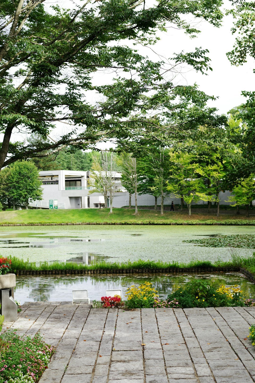 A park bench sitting next to a small pond