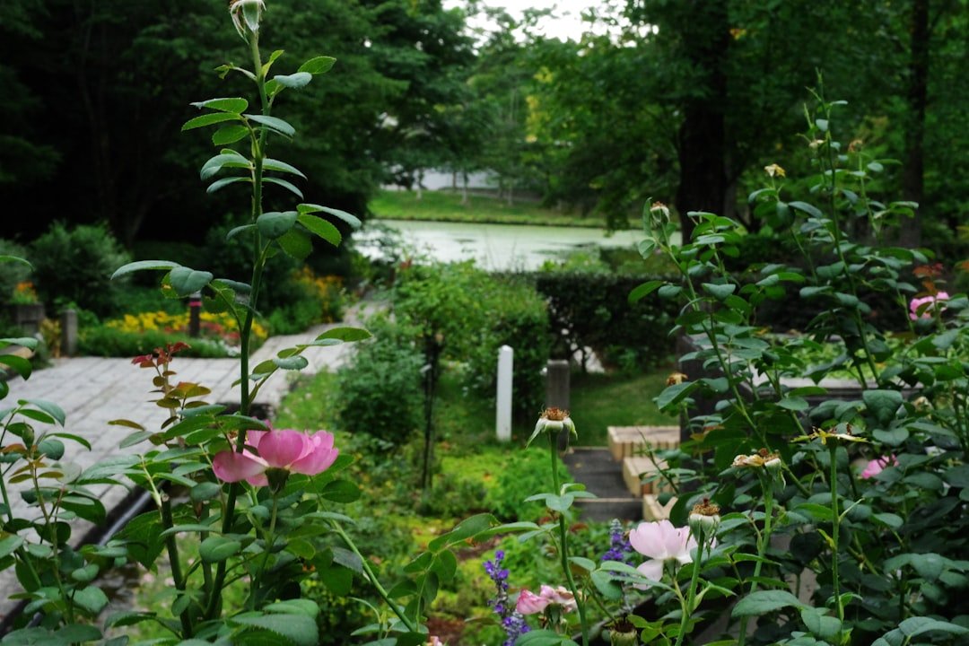 A garden filled with lots of different types of flowers