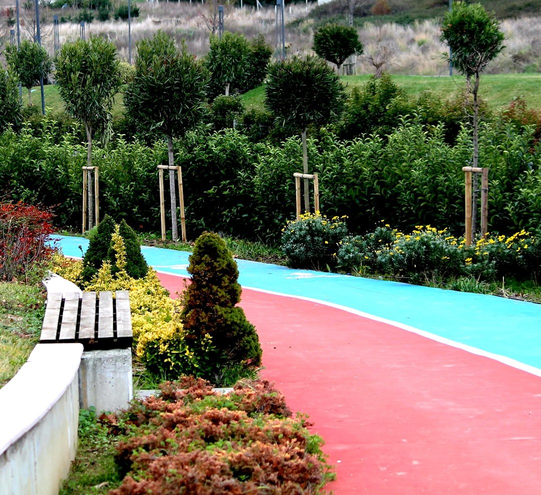 A wooden bench sitting next to a lush green park