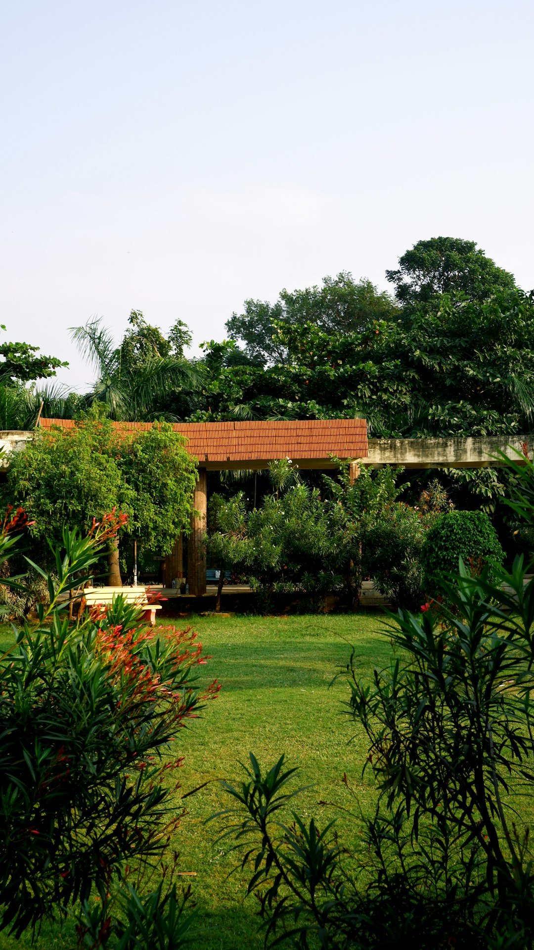 a green yard with trees and a building in the background