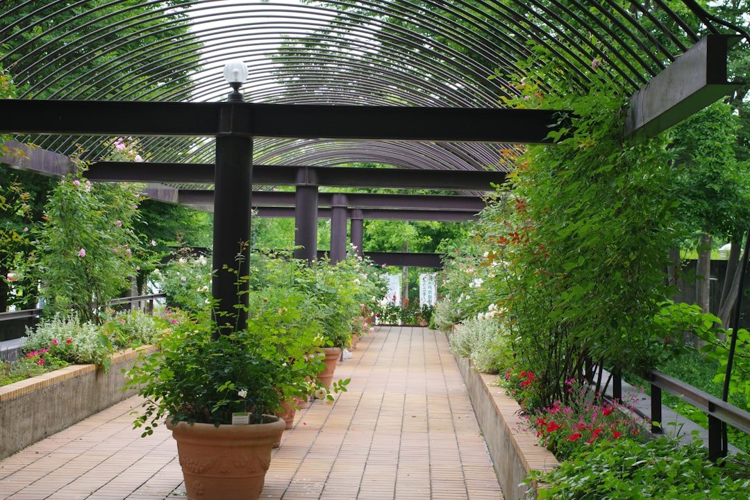 A walkway in a garden filled with lots of plants