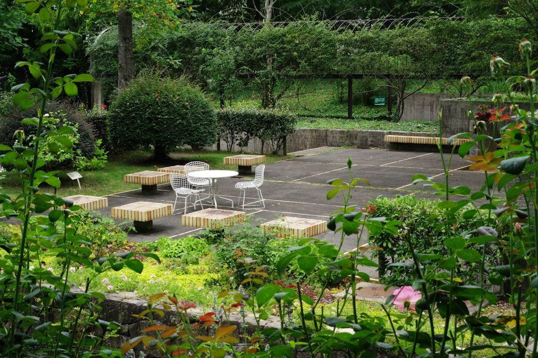 A garden with a table and chairs surrounded by greenery