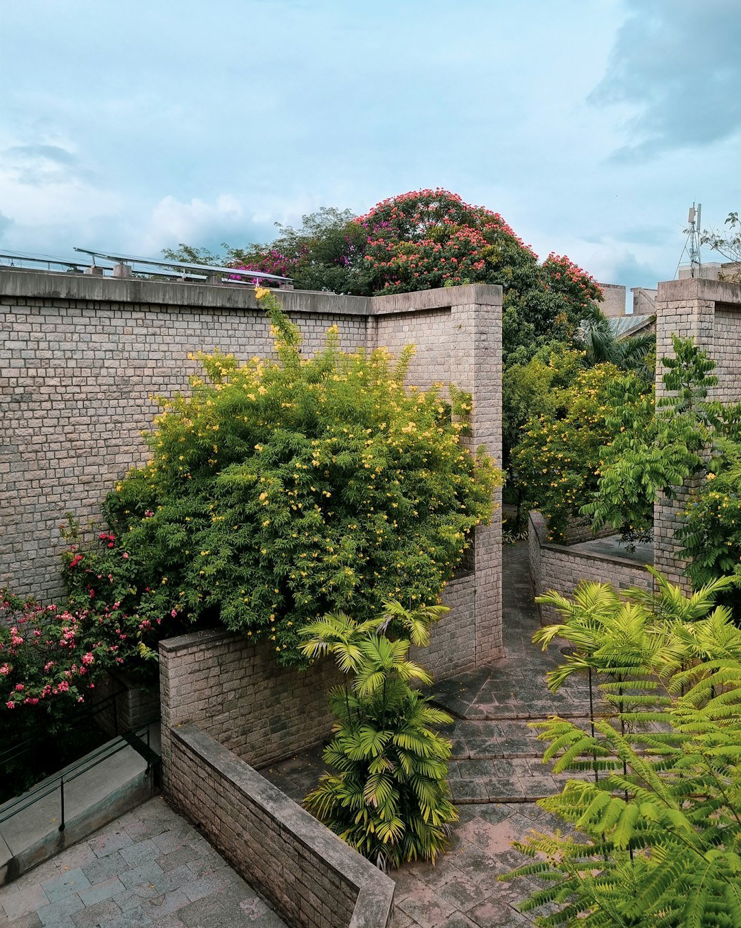 a garden with a lot of trees and bushes