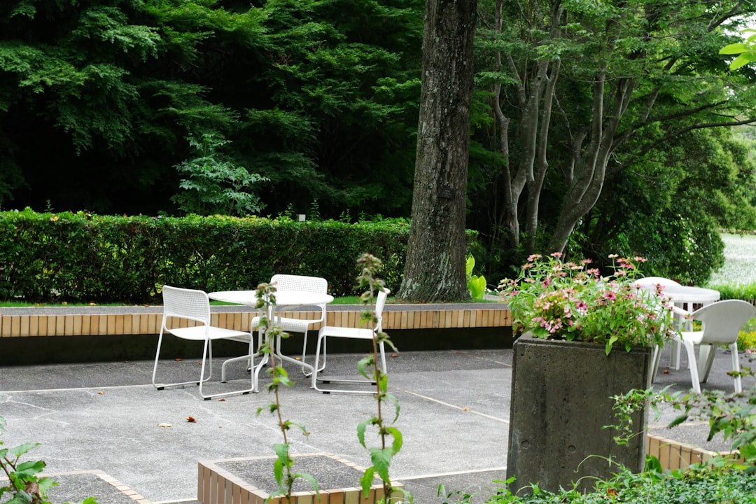 A patio with a table and chairs surrounded by greenery