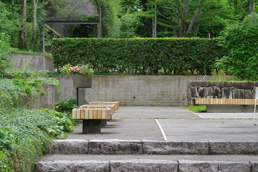 A couple of wooden benches sitting on top of cement steps