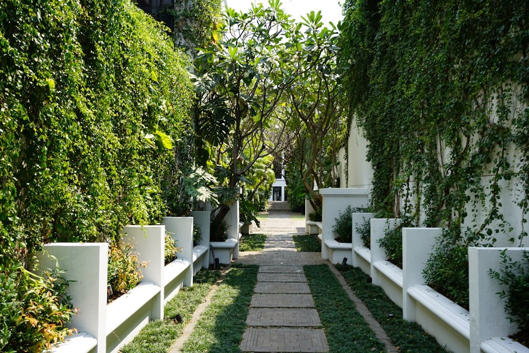 a walkway between two buildings with plants on either side