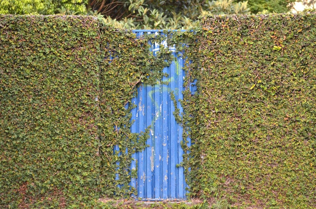 blue metal fence on green grass field