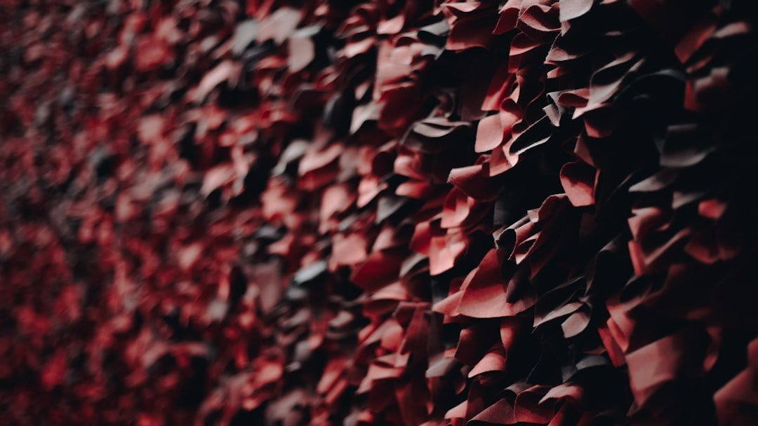 red and black wall close-up photo