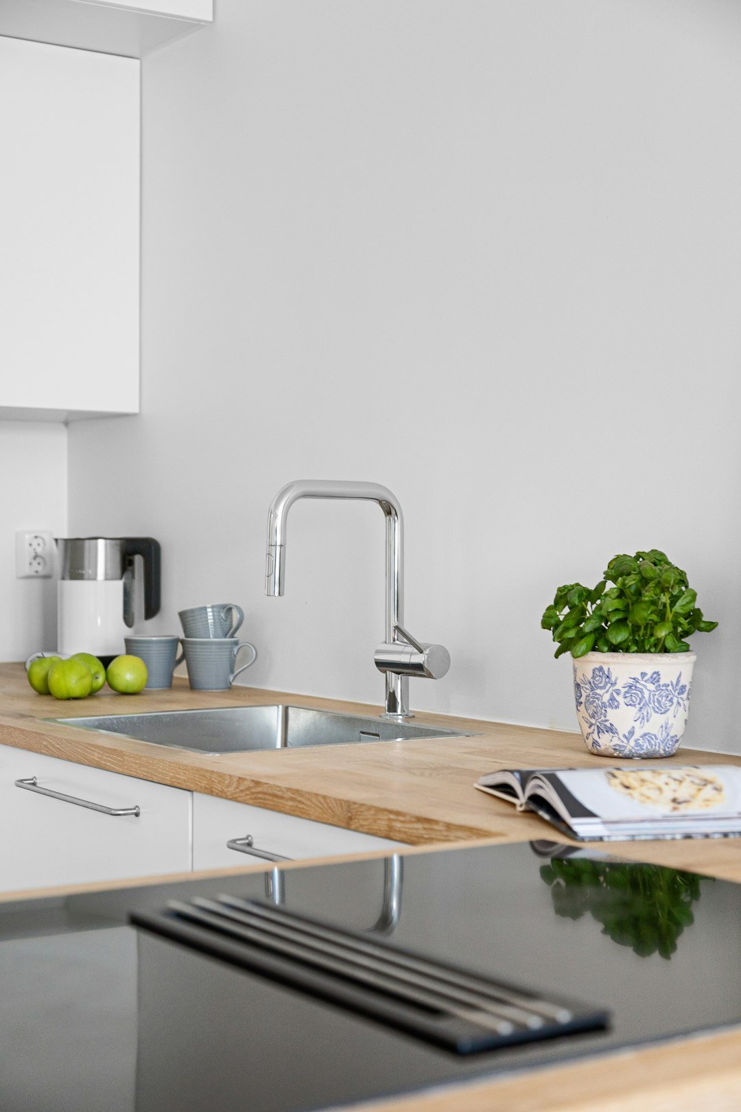 A kitchen with a potted plant on the counter
