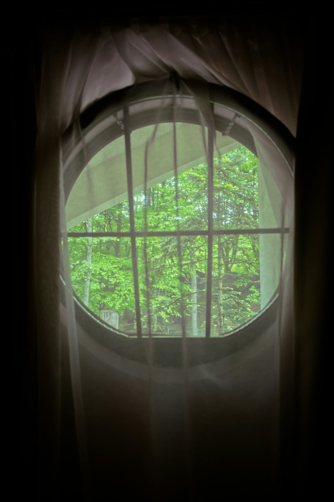 a window with a view of trees outside